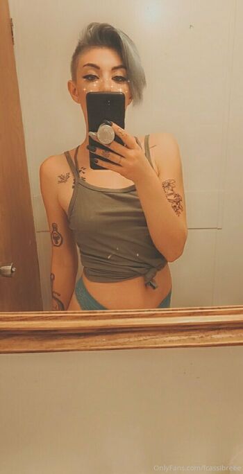 fcassibreee